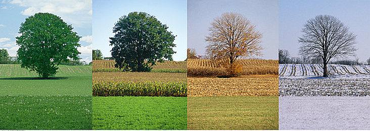 如何玩好破月勇者？萌新入门发育详解