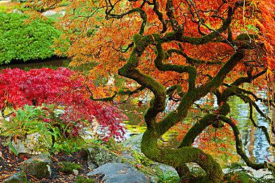 Xbox 25财年Q1总收入增长43% 全部来自动视